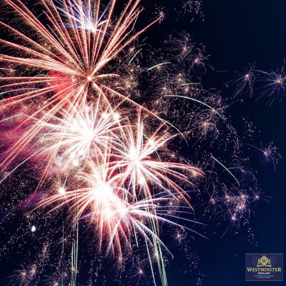Who's ready for 2019? 🎆 We certainly are! Tweet us and let us know your cheesy plans for tonight! #NewYear #2019