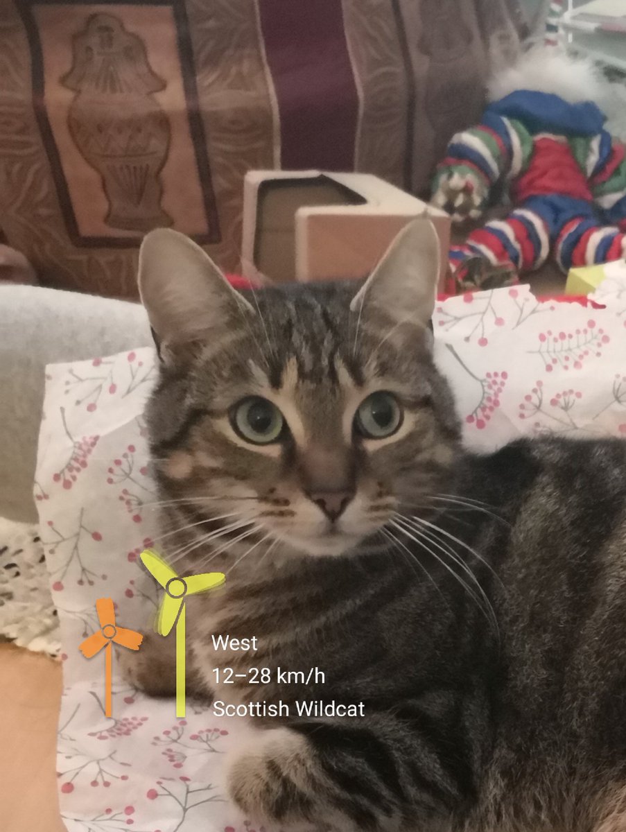 CCCRdg's tweet photo. #2019Hopes for #ClimateActivism
In five months #GretaThunberg 🇸🇪 has achieved > than @algore and @ClimateReality. #ClimateStrike
Breaking through all layers ///// #Bottomup on a #netzero-budget. #Moneyisdead long live the #RespectCoin 🤣 🤣 😹 👊🏼 👣 👣 🐕 🌝 🌝 🌝 #GreenNewDeal https://t.co/5ukzTdOy3e