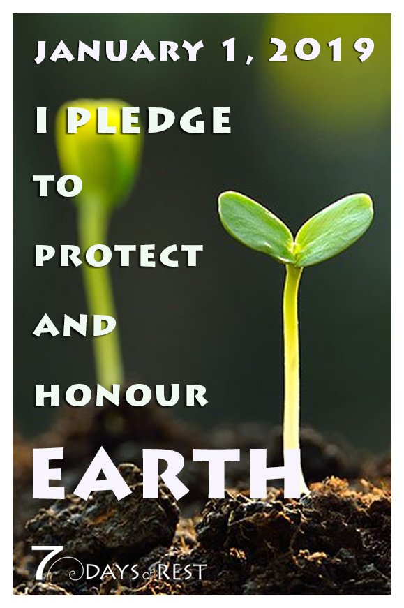 ExtinctionR's tweet photo. #HappyNewYear #NewYearsResolutions

#ExtinctionRebellion invites you to organise events demonstrating your commitment to #ProtectAndHonourLife

January 1, 2019 - I pledge to protect and honour earth🍄

Find out more: https://t.co/XNcT26qZMm 
Press release: https://t.co/rSs31MPuCw https://t.co/fg2o1NUZk3