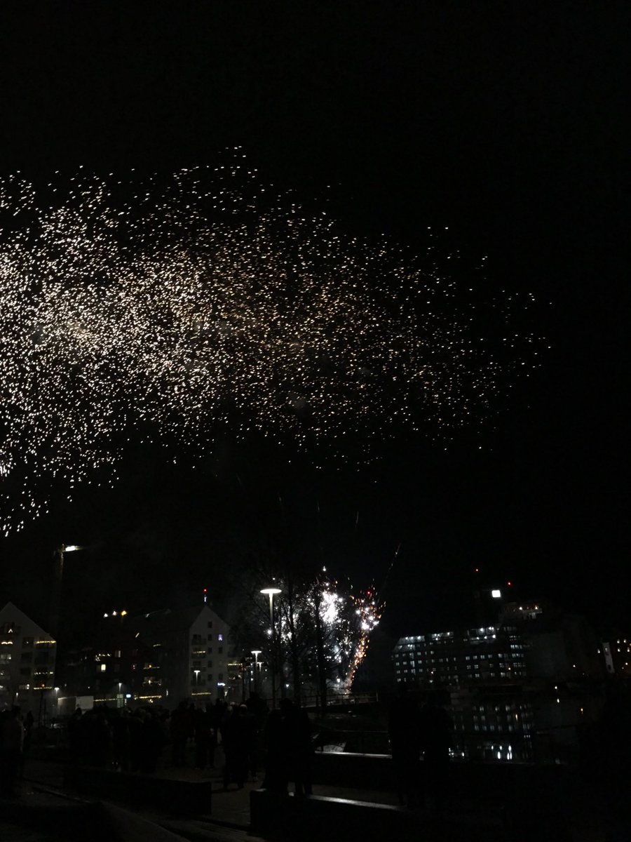 Gott Nytt År! 
Älskar fyrverkerier 🎉💫