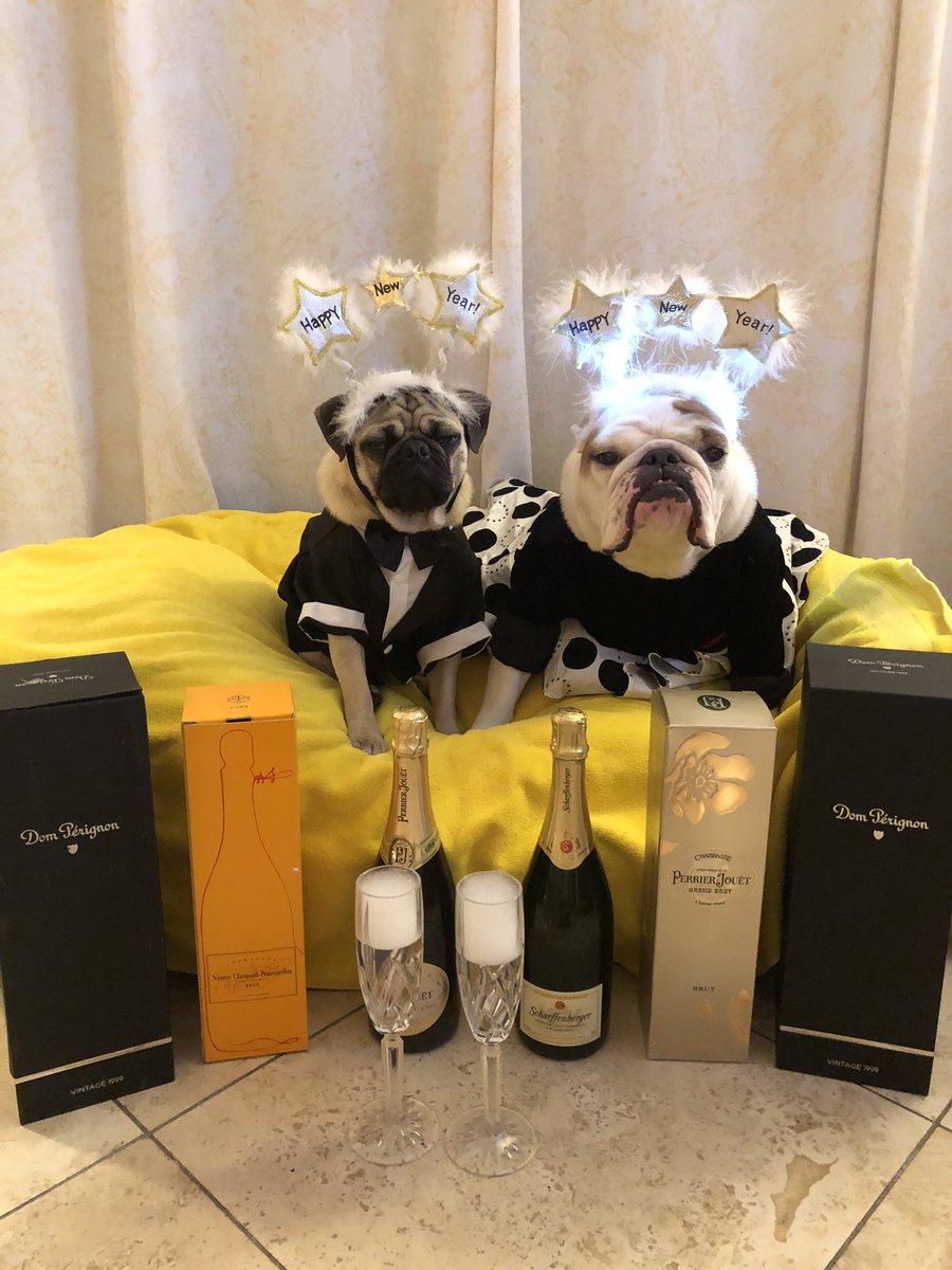 Let’s get this party started 🍾🥃😳🎉🎊#NYE #newyearseve #champs #party #cristal #domperignon #champagne #caviar #newyeareve #auldlangsyne #nye2018 #englishbullldog #bulldog #bulldognation #igbulldog #abc7holiday #pugandbulldog #bulldogandpug #nugget #bullylifetv #pug