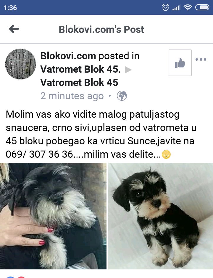 DejanDanailov's tweet photo. https://t.co/LbNhVlEUBs