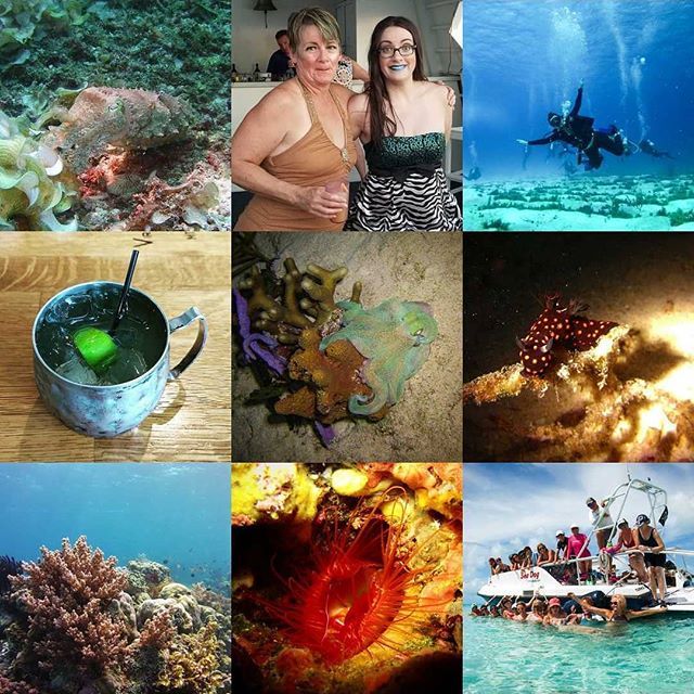 All of my main ingredients: salty critters, lipstick, & booze. 
#nosorries2k18 #staysalty #topnine #getyourhairwet #girlgetoutside #saltyhairdontcare #philippines🇵🇭 #bahamas🇧🇸 #aquacat #divewithasmile #discoclam #nudibranchs #octopus #scuba #divessi #scu… bit.ly/2EYb10V