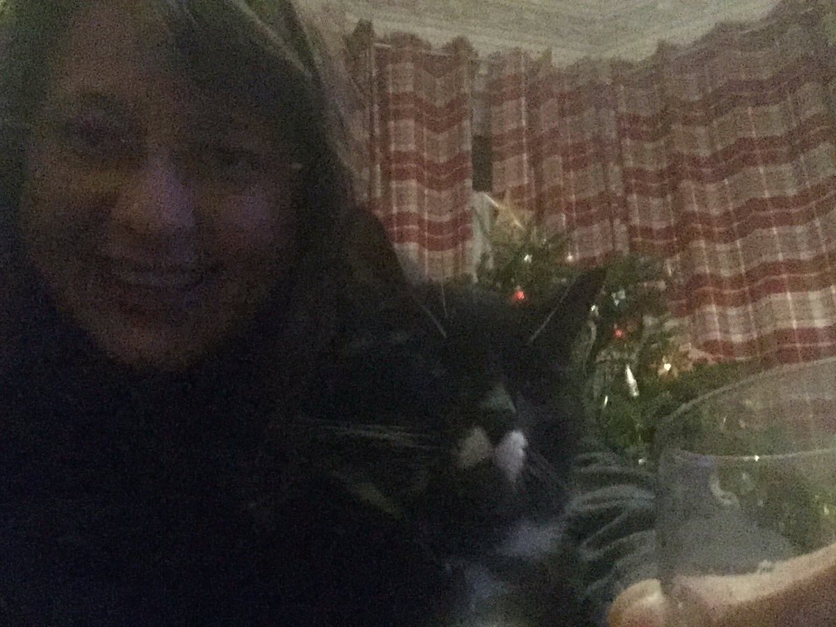 katetnorth's tweet photo. Happy New Year/Blwyddyn Newydd Dda pawb #grumpypuss https://t.co/wsHktYcPQn