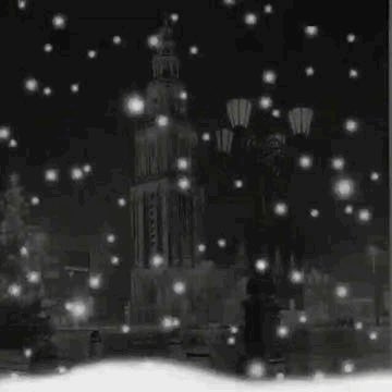 Peter  Smit (@smit_peter) on Twitter photo 