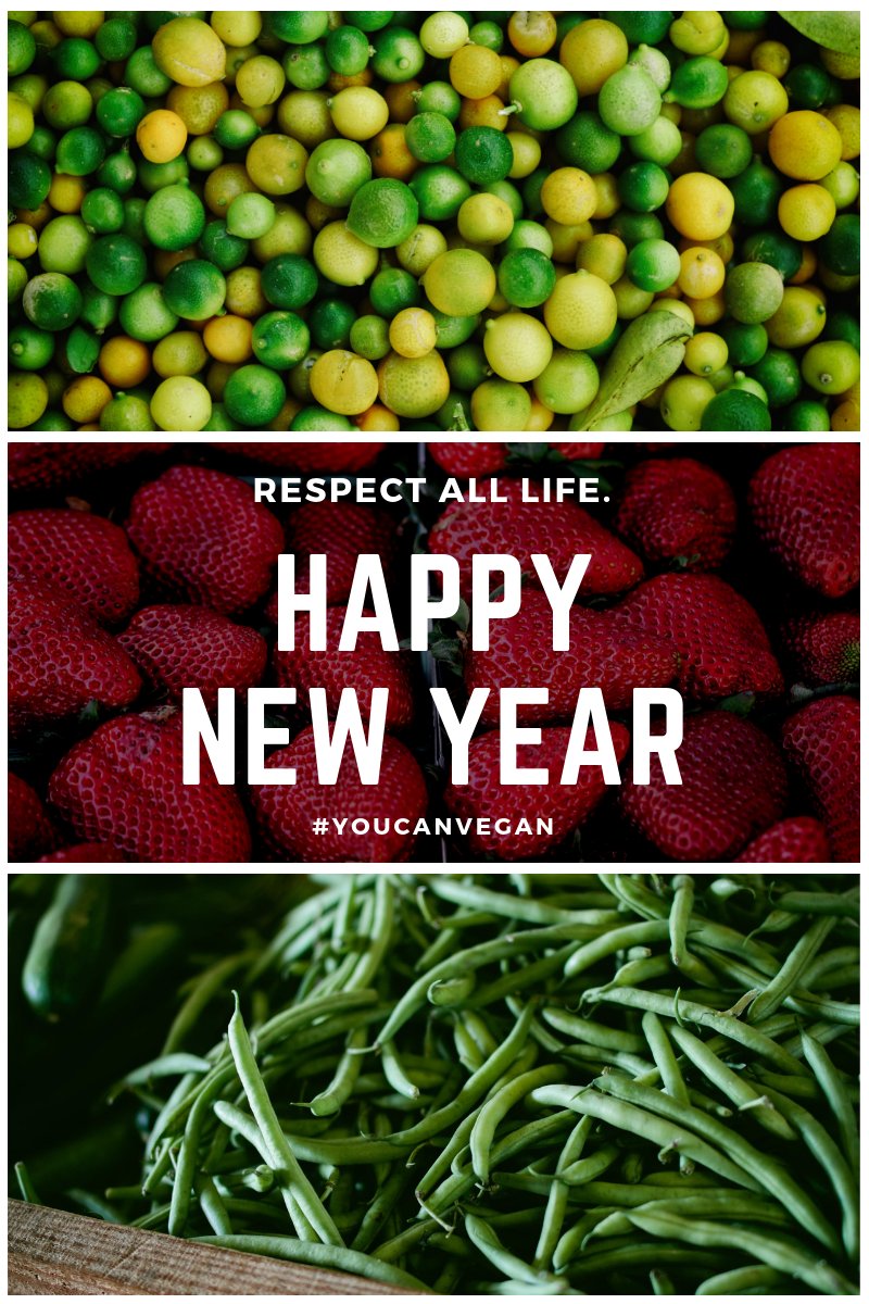 Happy New Year from #plantbaseshrops  #2019 
Keep it green not mean.. #YouCanVegan