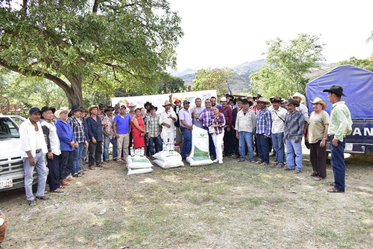 PabloPachecoLuc's tweet photo. #COMOVASS Agradece a todos los Presidentes Municipales, Agentes Municipales, Comisaríados de Bienes Comunales y Ejidales y Por su Puesto a Los Productores de los #VallesCentrales y #SierraSur por la Confianza Brindada en este año 2018
#CDEPO
#MNE
#SembrandoFuturo
#PorElBuenVivir https://t.co/WhRr2zmgRm