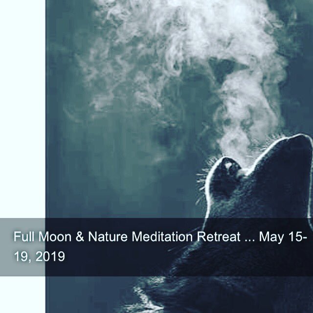 BlueKohola's tweet photo. Full moon meditation retreat.  Learn to embrace the full moons power and connect to the cycles of nature. #meditation #fullmoon #fullmoonmeditation #retreat #hawaii #healing #shamanic #spiritual #spiritualawakening #reiki https://t.co/kFuYEAEc4C