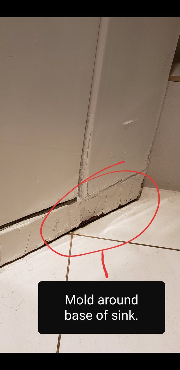 Barnesolona702's tweet photo. This is what you get when you book your vacation through @virginvacations. Their resolution was to offer me $100 off of a river cruise, guided or escorted tour the next time we book through them (which we will never do again)! Worst hotel in London @1lexhamgardens https://t.co/du46UkJsNC