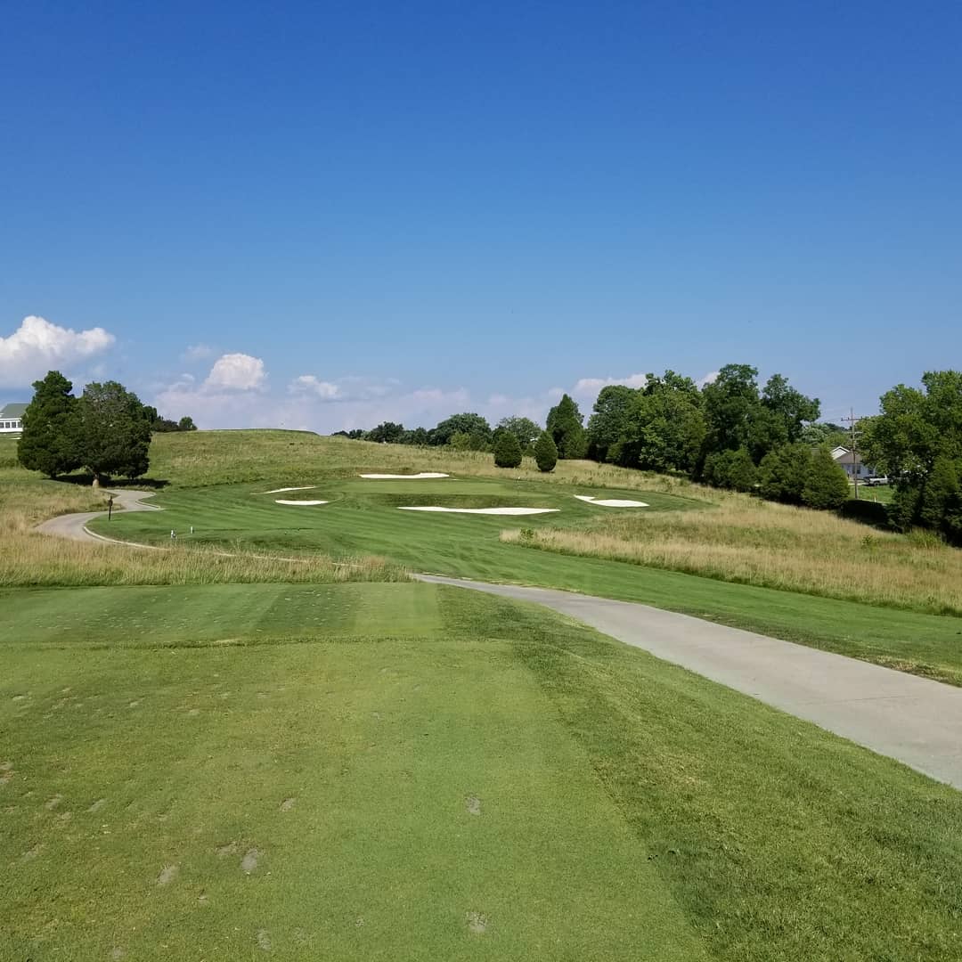 1beardedgolfer's tweet photo. The holes of the Donald Ross Course at French Lick are framed beautifully. The bunkering is superb. And I love the wild, gigantic greens. But 3 of 4 par threes being over 200 yards? Not my scene, but I should give it another shot. #golf2018 #golf https://t.co/oT8tK6gXKq