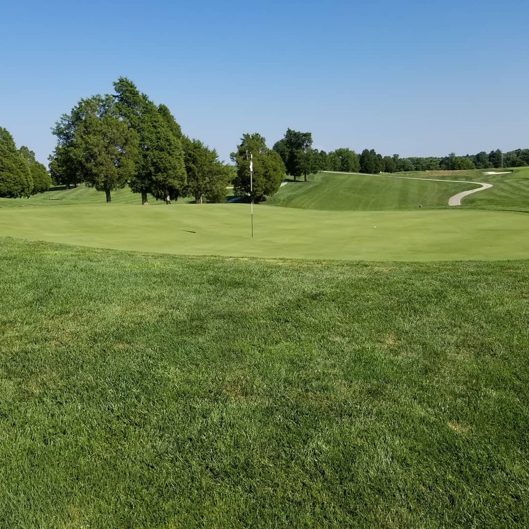 1beardedgolfer's tweet photo. The holes of the Donald Ross Course at French Lick are framed beautifully. The bunkering is superb. And I love the wild, gigantic greens. But 3 of 4 par threes being over 200 yards? Not my scene, but I should give it another shot. #golf2018 #golf https://t.co/oT8tK6gXKq