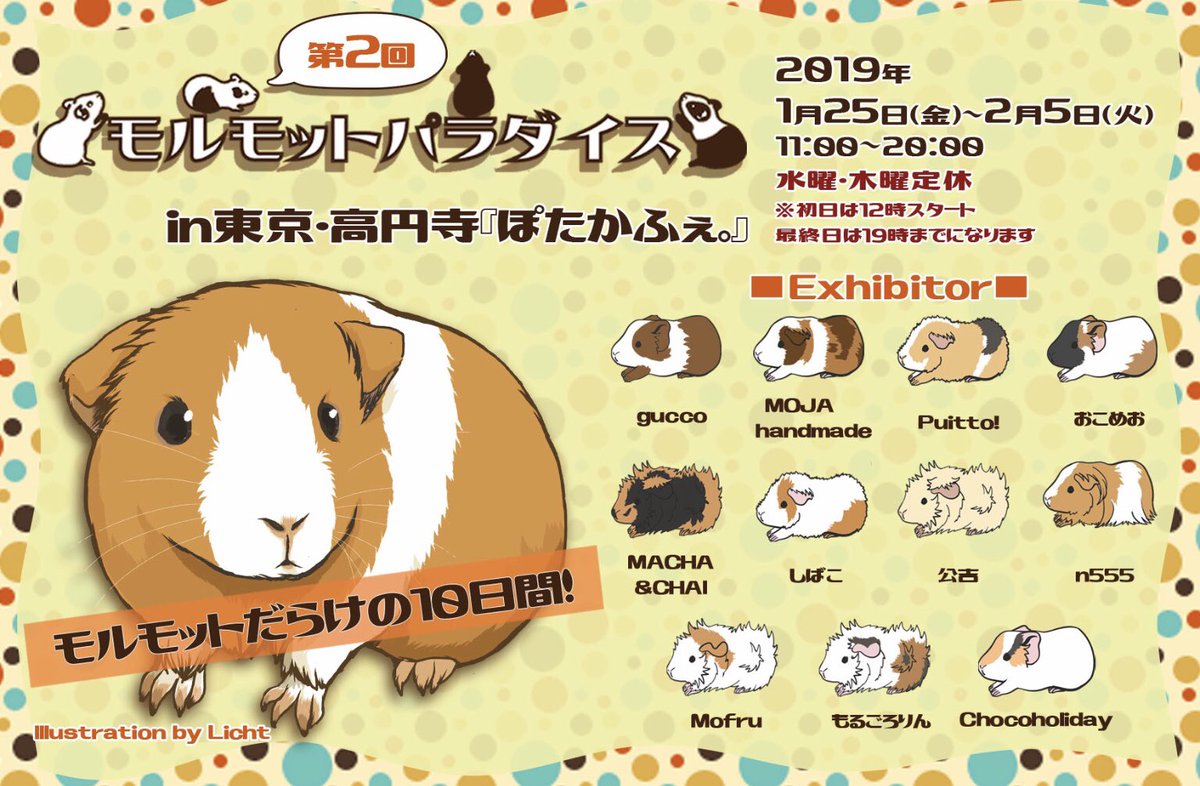 第2回モルモットパラダイス 高円寺ぽたかふぇ Togetter