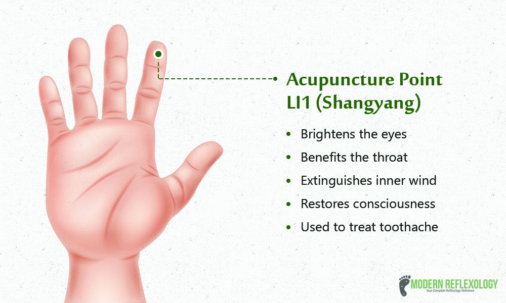 Modern Reflexology on Twitter: "Find out how the #LI1#Acupuncture point  benefits our health. #Reflexology #ModernReflexology  https://t.co/3NtyhJlvfK" / Twitter