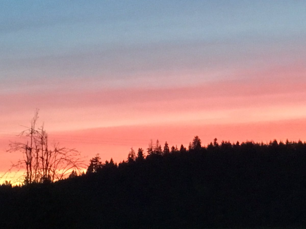 2018도, 마지막 저녁노을 남기고 가는구나
반갑다!   대망의 2019 년  “기해 새해를 위하여”