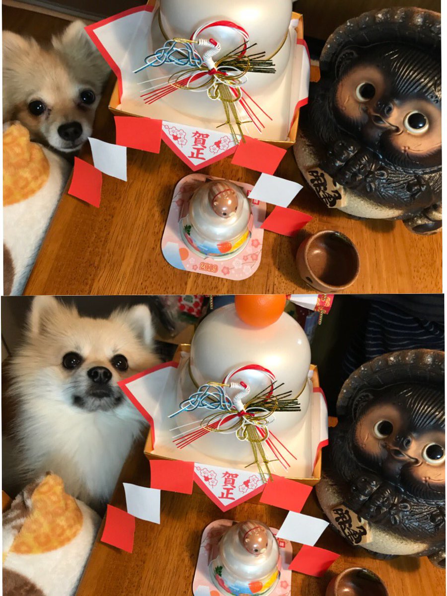 あけましておめでとうございます😋✨今年もよろしくお願いします(*^^*)
さて、問題🙋♀️上と下どちらがこつぶでどちらがだいずでしょう🤗?笑
元旦からサンテレビ「おとな釣り倶楽部」放送あります😍※放送は18時〜です😣お間違いなく🙇♀️!