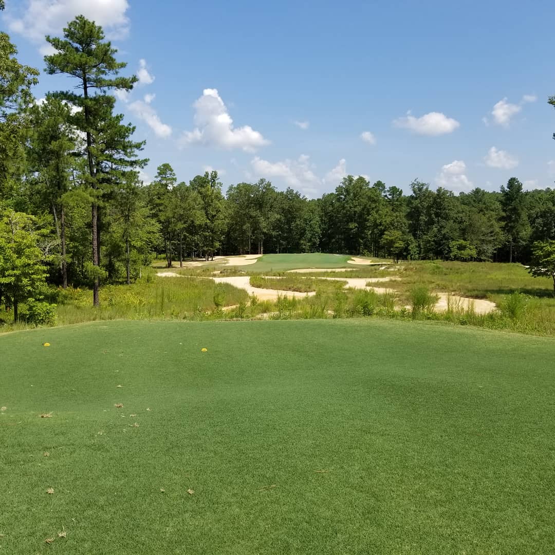 1beardedgolfer's tweet photo. I was unprepared for the beauty of the rugged aesthetic at Dormie Club just outside Pinehurst. Absolutely love that the ground game is available, and the risk-reward decisions are spot on. I want to hug this course. #golf #golf2018 https://t.co/U85NWDKyKV