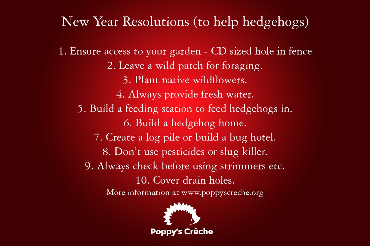 new year resolutions to help hedgehogs