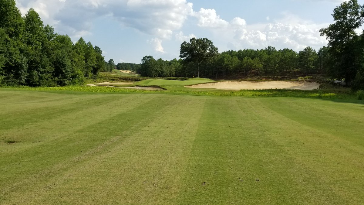 1beardedgolfer's tweet photo. Tobacco Road is a special playgrounds. If it hadn't such a relaxed vibe, it would command reverence in hushed tones. The entire course is filled with postcard-worthy visuals, and it's so much fun to play, and playable by all. I'll visit annually going forward. #golf #golf2018 https://t.co/P94NNFZMbr
