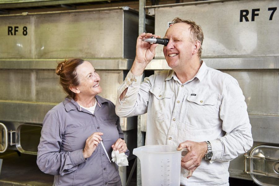 Huon Hooke (@huonhooke) on Twitter photo #NewAndNoteworthy While Iām a great lover of Hunter Valley semillon Iāve long had a love-hate relationship with Western Australiaās efforts. <a href="/TheRealRvw/">The Real Review</a> Ft <a href="/Moss_Wood/">Moss Wood</a> <a href="/petersonswines/">John Dewar</a> <a href="/YarraYering/">Yarra Yering</a> <a href="/GundogEstate/">Matt Burton</a> <a href="/usher_tinkler/">Usher Tinkler</a> #CharlotteDaltonWines buff.ly/2ToC3mh #NewAndNoteworthy While Iām a great lover of Hunter Valley semillon Iāve long had a love-hate relationship with Western Australiaās efforts. <a href="/TheRealRvw/">The Real Review</a> Ft <a href="/Moss_Wood/">Moss Wood</a> <a href="/petersonswines/">John Dewar</a> <a href="/YarraYering/">Yarra Yering</a> <a href="/GundogEstate/">Matt Burton</a> <a href="/usher_tinkler/">Usher Tinkler</a> #CharlotteDaltonWines buff.ly/2ToC3mh