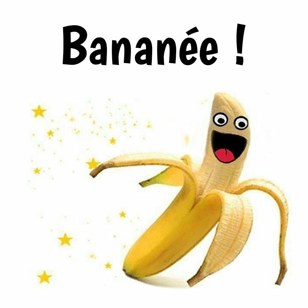 mlanevil's tweet image. Bonne et heureuse année! #HappyNewYears #BonneAnnee2019