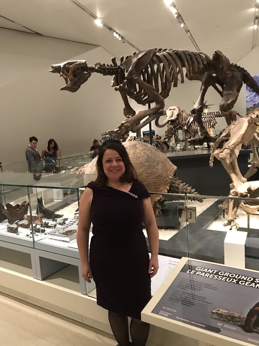 DellaShea1's tweet photo. You outdid yourself Royal Ontario Museum #romnye, what an Awesome Night at the Museum.  Happy New Year❤️ https://t.co/7XJHbSNnmS