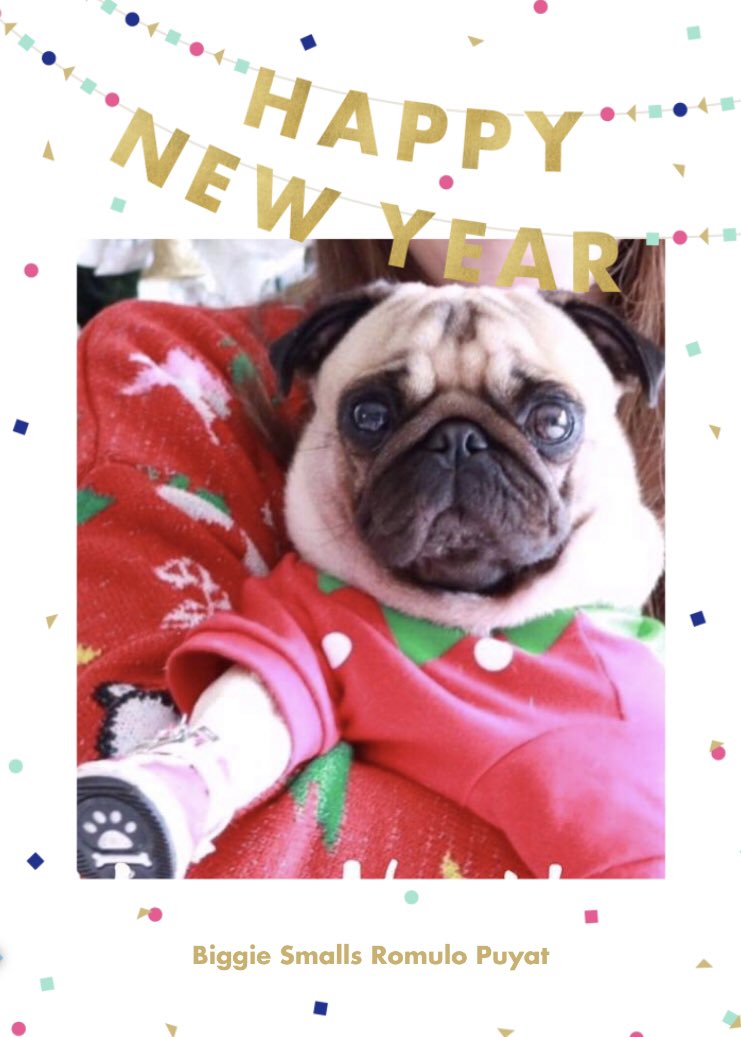 When you can't find a decent New Year's picture of the three of you, you just post a photo of the cutest member of your family🙄🙄🙄 Happy New Year from our family to yours🎉