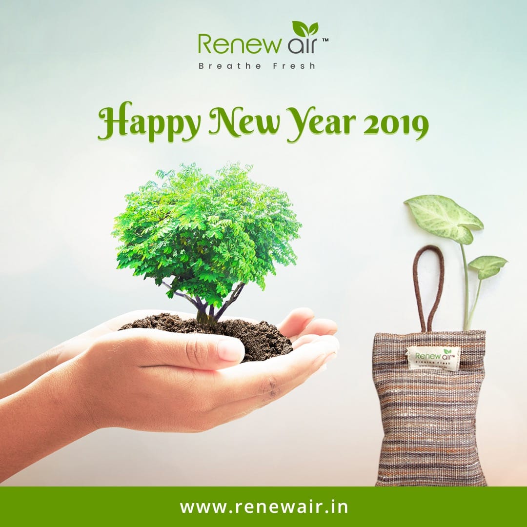 May your joy be renewed in 2019 🌿

#HappyNewYear2019 
#BreatheFresh in 2019. Remember #EveryBreathMatters