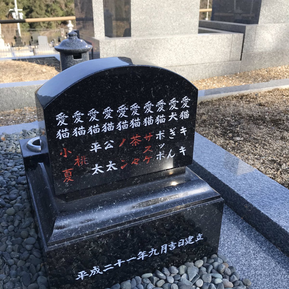 ゆんたく Sur Twitter 新年を迎え既に今年一番ビビった事があったのですが 義父のお墓がある霊園の一区画にペットのお墓 を建てている人がいて 意外と立派というか 人間のお墓と見劣りしないという まだ生きてるペットは赤字というこだわりも
