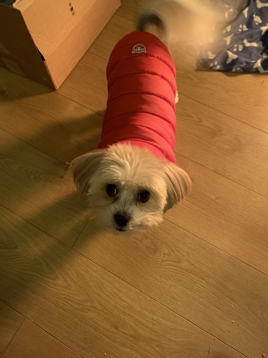 hugo and hudson puffer