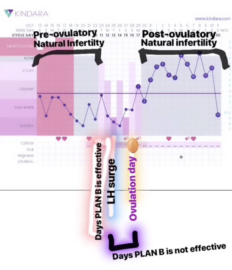 Plan B Effectiveness Chart