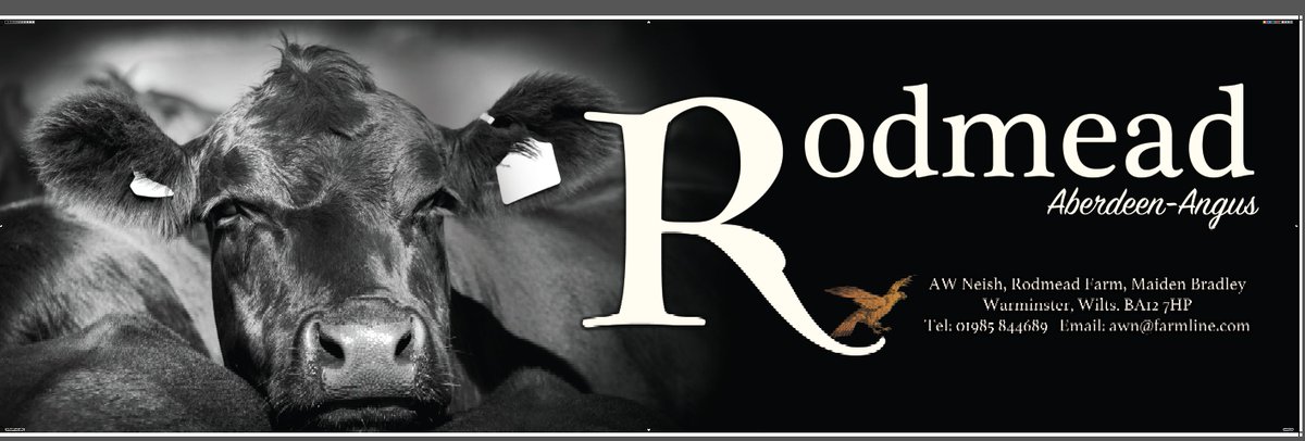 SteCoyneDesign's tweet photo. Very simple banner for Rodmead Angus, will look nice around the UK shows this year. https://t.co/HnCa2fSqZl