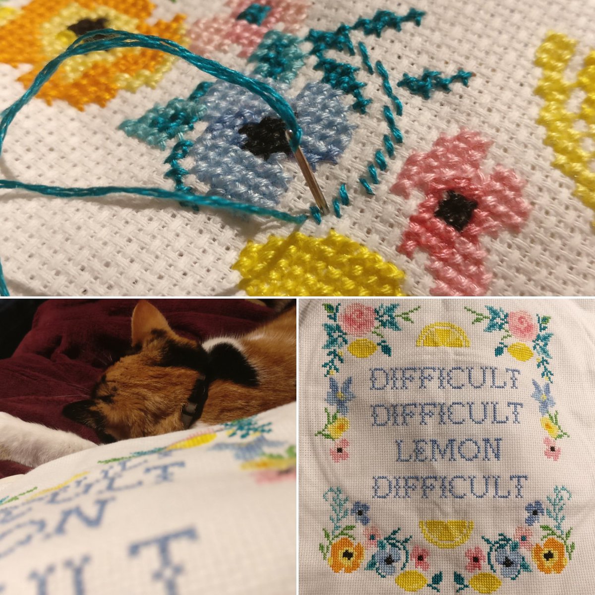 I only went and flipping finished it 🙌🙌🙌 I'm also trying out Instagram at the moment which is why the photoset is snazzy #crossstitch #ignoringbrexit #cats #cat #CatsOfTwitter #difficultdifficultlemondifficult