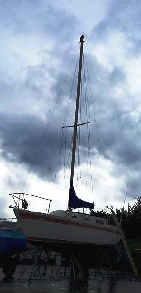 MtyBayBoatworks's tweet photo. Even the #rain can't keep the #Osprey away! https://t.co/fij818YTWa