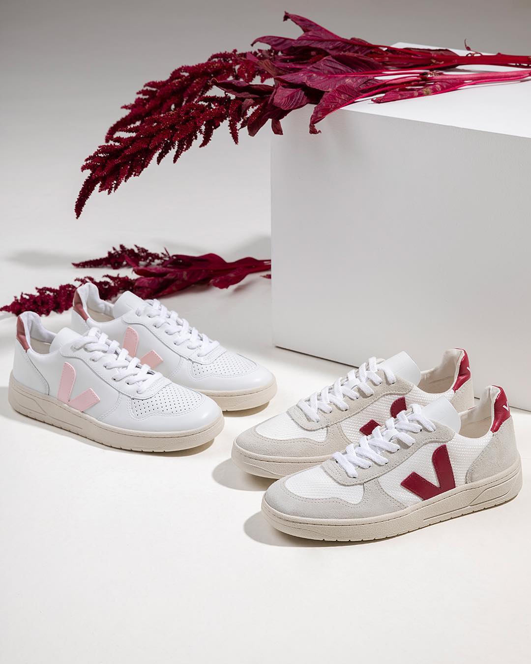 veja v10 petal