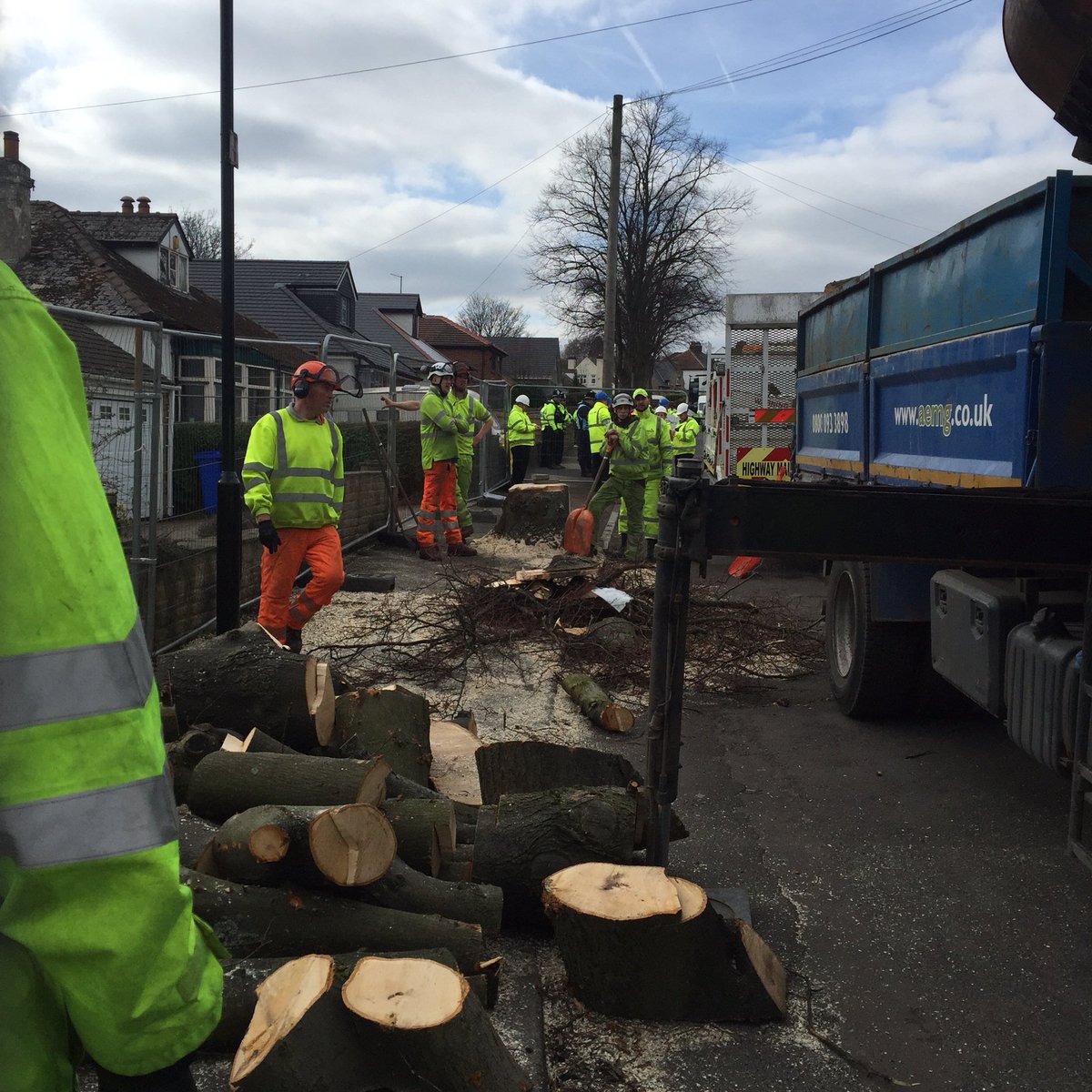 SAVEDORETREES's tweet photo. Just a reminder of how mad and bad it had got in S17 in the early part of 2018. A shameful waste of police time, a shocking and unnecessary squandering of the city’s natural resources and a blow to the city’s green credentials. Let’s do better in the future. https://t.co/RbNJtE1HqU