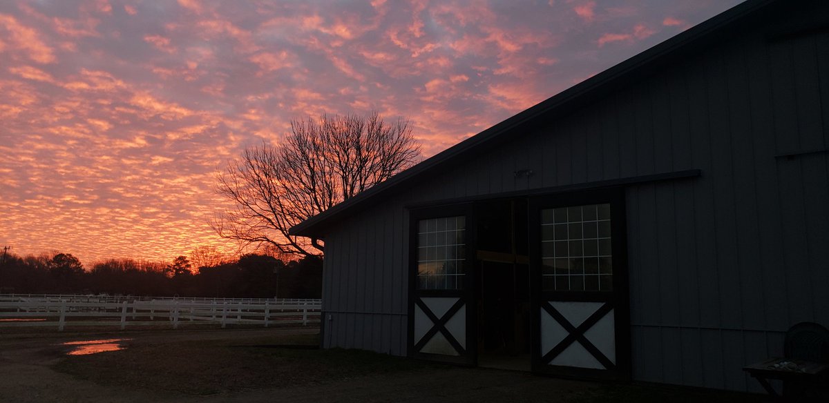 patternedponyeq's tweet image. Horses are the only thing that can get me up before the sun