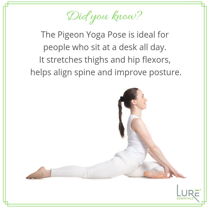 LUREEssentials's tweet photo. Tuesday Tip!
#lureessentials #getcupped #yoga #selfcare #health #fitness #tips #instagood #healthandwellness #meditation #posture #natural #yogaposes https://t.co/POGoKou7xl