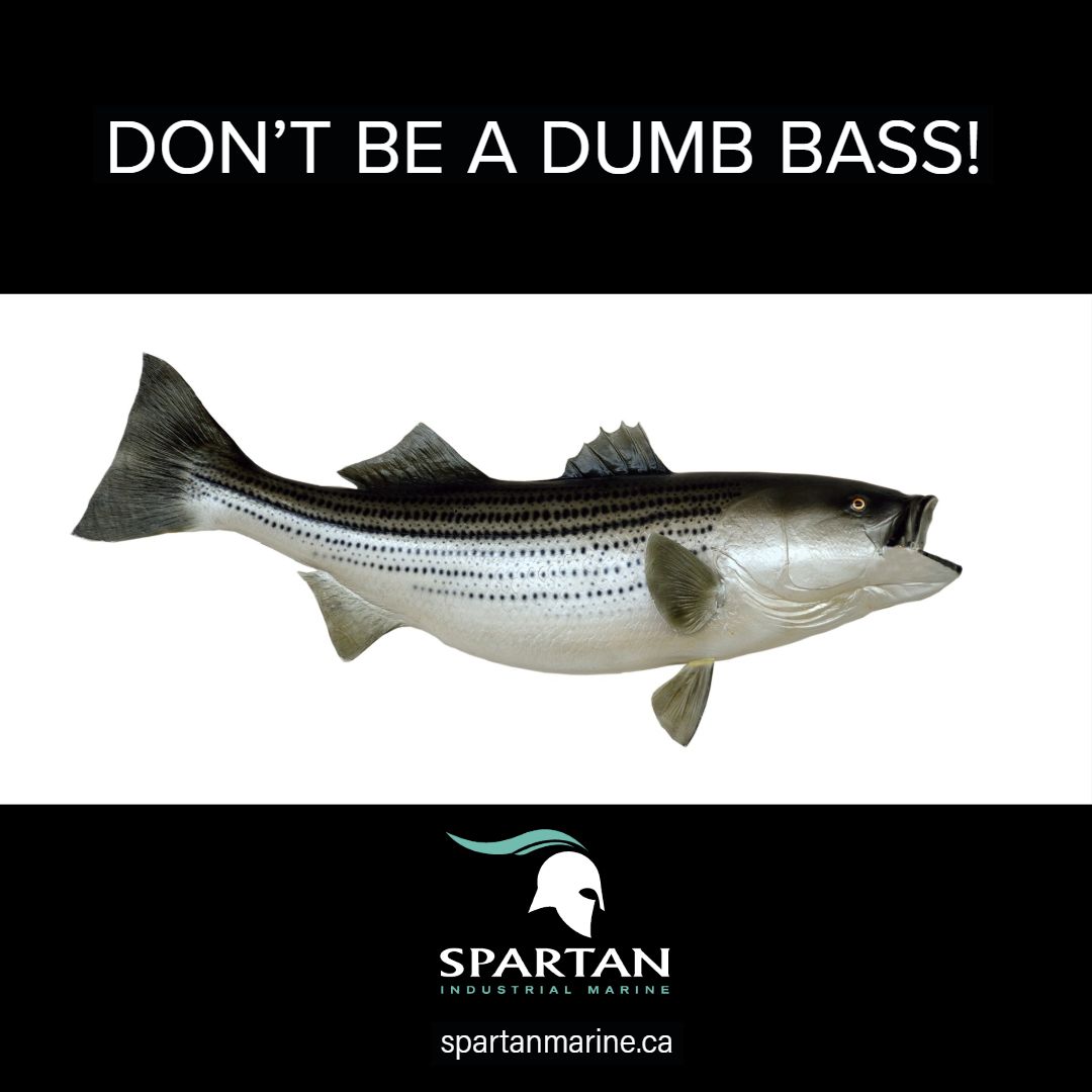 Spartan_Marine's tweet photo. #meme #fishing #fishinghumour #bass #commercialfishing #fishermen https://t.co/qz29tHeZQz