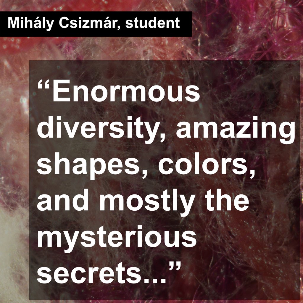 ecovative's tweet image. #DesignerSpotlight featuring the work of Hungarian PhD candidate Mihály Csizmár! buff.ly/2M2KdOz