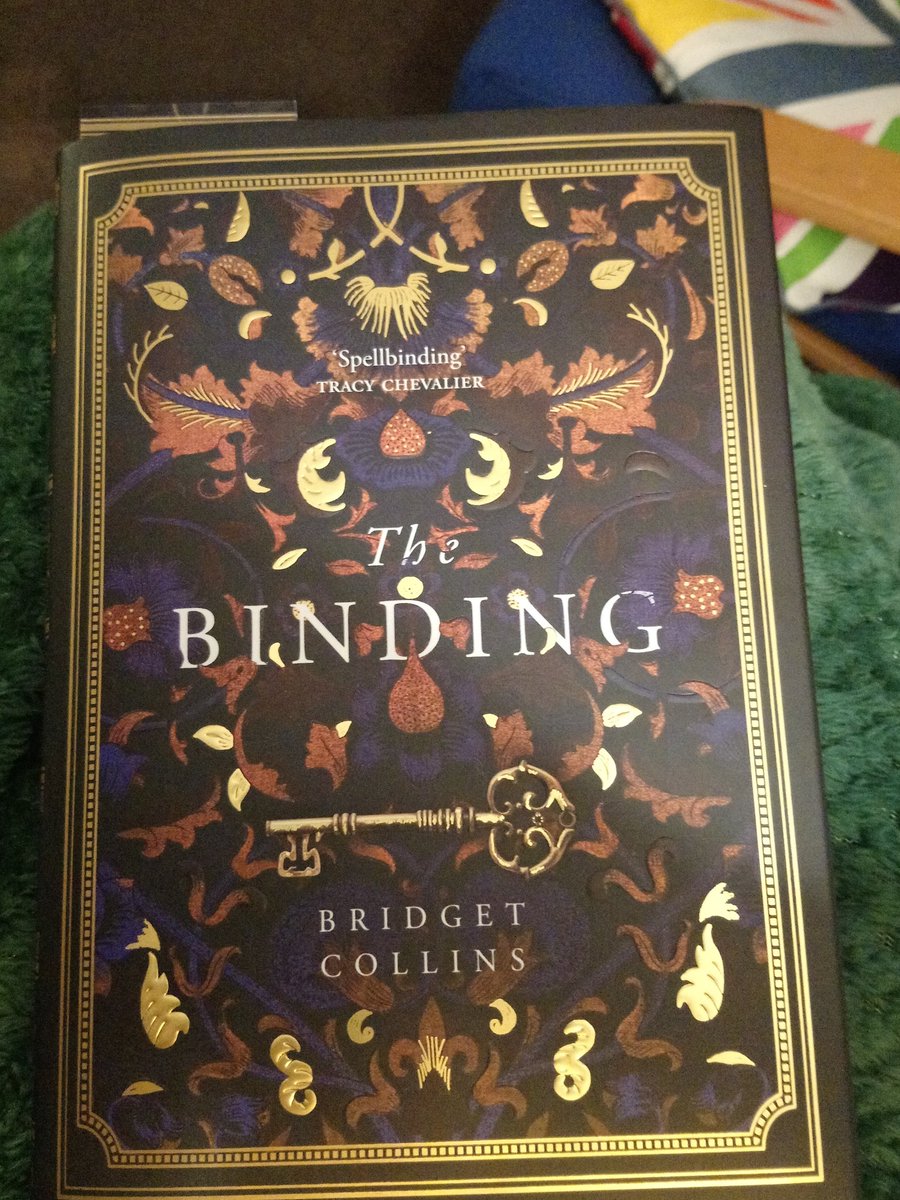 I totally judged this book but it's cover. LOOK HOW PRETTY! I am going to devour this book #bridgetcollins #thebinding #beautifulbooks