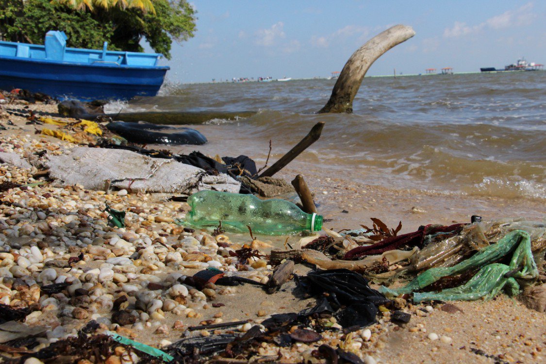 ¿Conoces las tres "R" de la #sosteniblidad?

Reducir ⬛ -> ▪
Reusar  🔄
Reciclar ♻

#PNUD te recuerda que estas 3 acciones ayudan a combatir el #CambioClimático, pues ahorramos más⬆, consumimos menos⬇ y usamos mejor nuestros recursos. 👌

Conoce más: bit.ly/2MkWdJZ