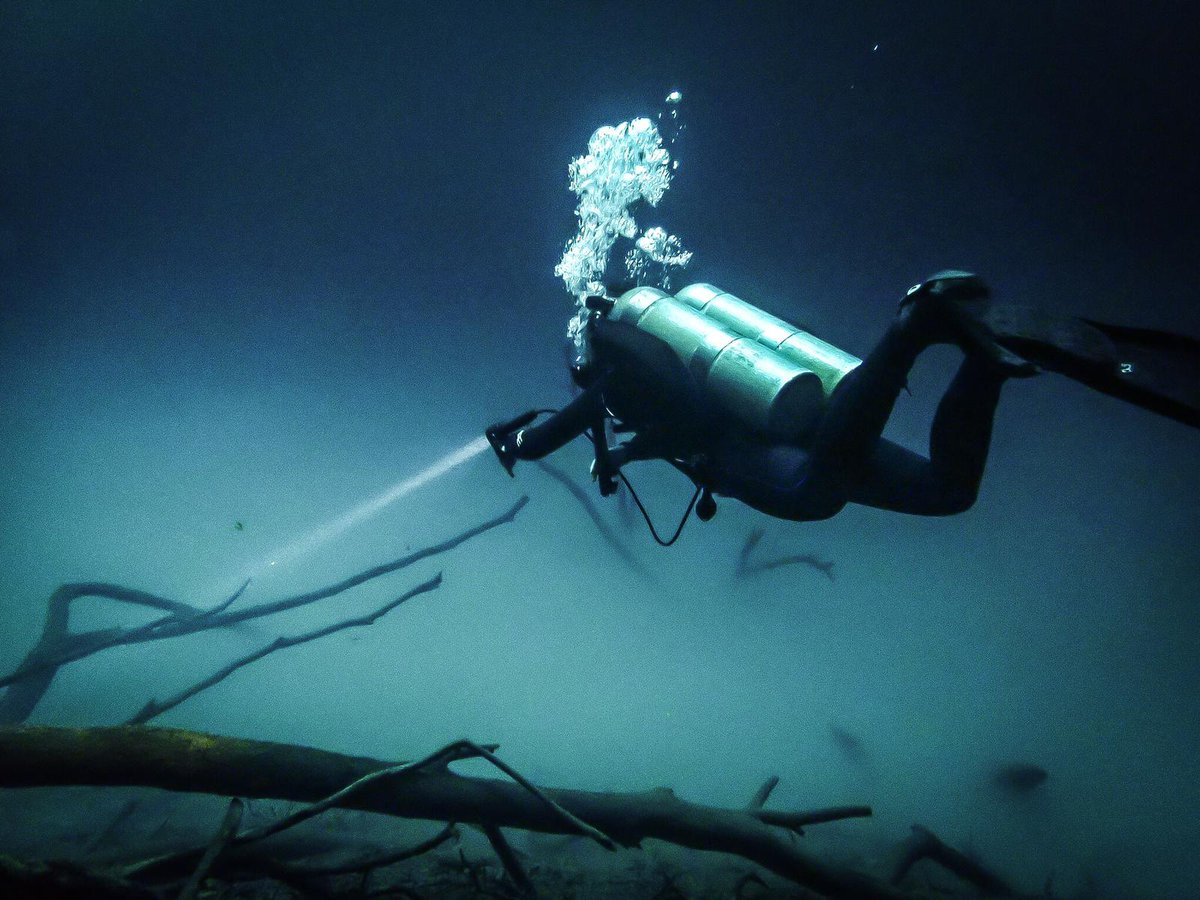 planetscubamex's tweet photo. Explore the depth.......
info@planetscubamexico.com
#planetscubamexico #mexico #technicaldiving #deep #dark #rivieramaya #deutschetauchbasismexico #bestdiveshop #iantd #puertoaventuras #cenotes #cenotediving #vdstauslandsbasis #technischestauchen #tecdiving #cavetraining https://t.co/1mhHPkbVBw