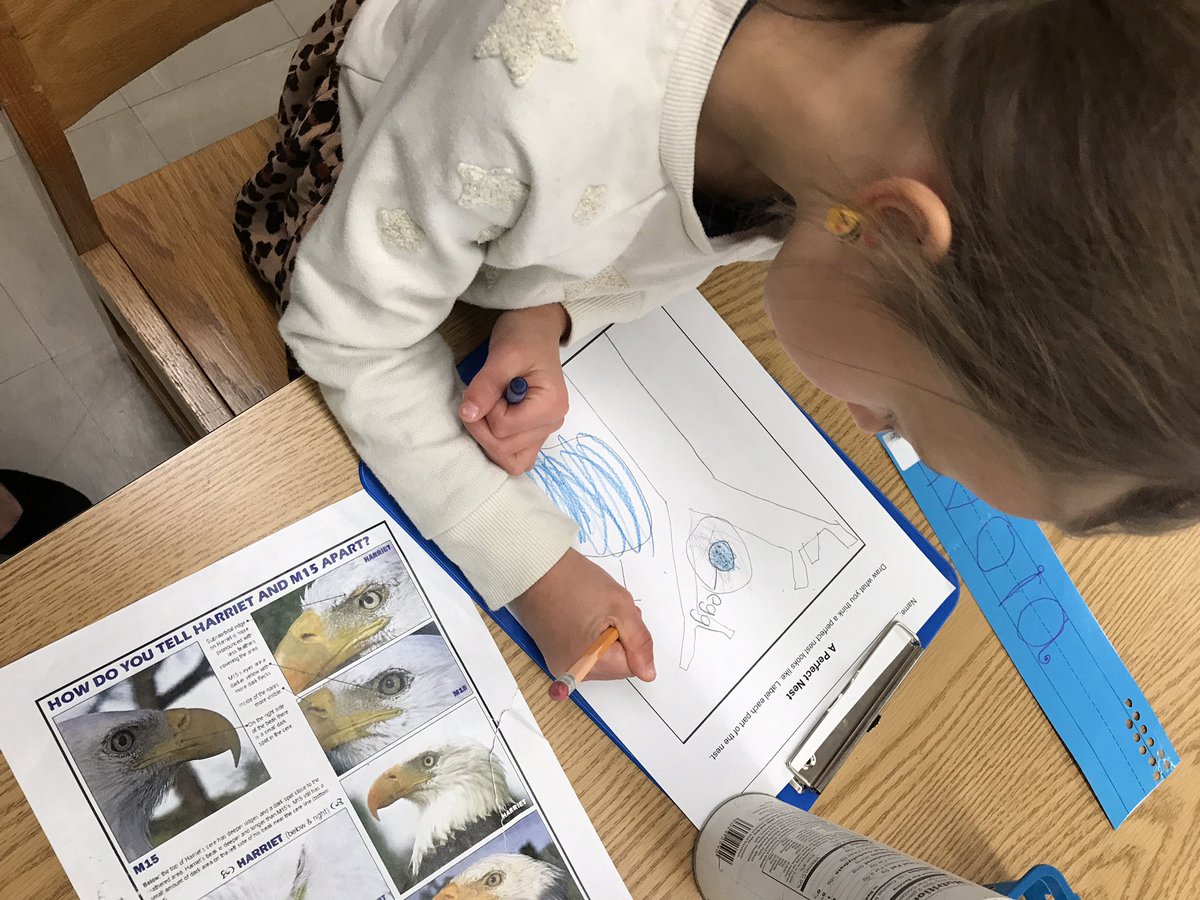patriciaeyer's tweet photo. @WOSnews @MrsSchaeferRm1 Ss are fabulous researchers and illustrators using evidence to prove who is on the nest #Harriet or #M15 @SWFLEagleCAM https://t.co/FoulyKgpGI