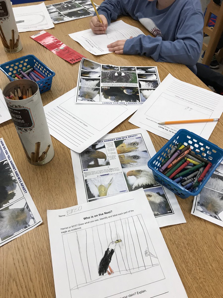 patriciaeyer's tweet photo. @WOSnews @MrsSchaeferRm1 Ss are fabulous researchers and illustrators using evidence to prove who is on the nest #Harriet or #M15 @SWFLEagleCAM https://t.co/FoulyKgpGI