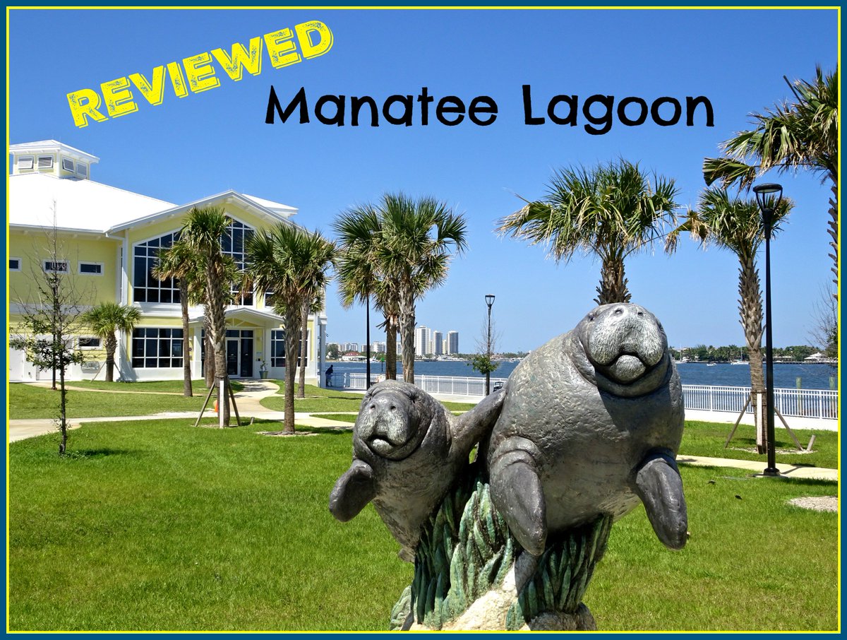FunAndFork's tweet photo. Cooler months in Florida are perfect for #manatee viewing! Here's a review of Manatee Lagoon #WestPalmBeach area: https://t.co/rqd3IF2Ue4 So impressed with the educational value of this place! There's even a manatee webcam! #LoveFL #RivieraBeach #TravelTuesday #TuesdayThoughts https://t.co/sBx55O252X