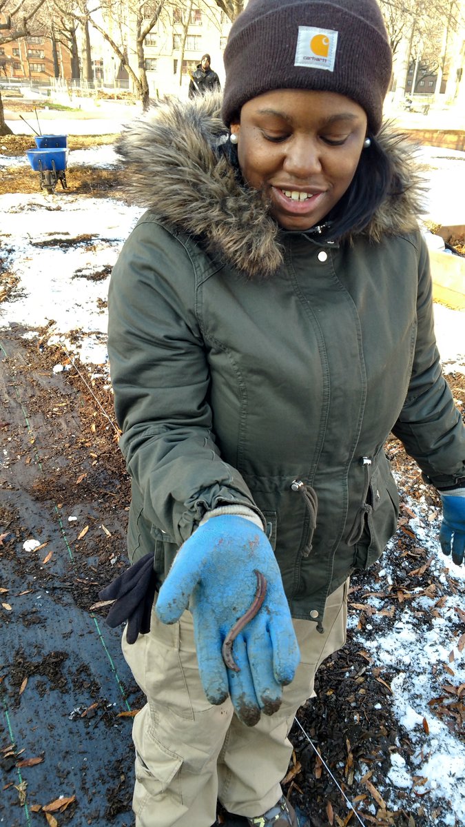 Green City Force tweet media