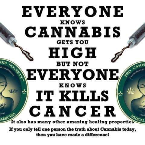 Why not ??? #Cannabis #Cure #CBD #THC 