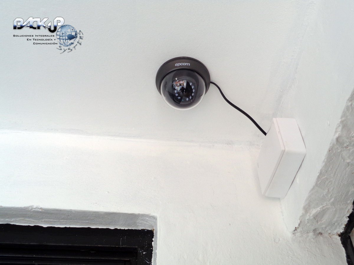 Back Up Systems tweet media