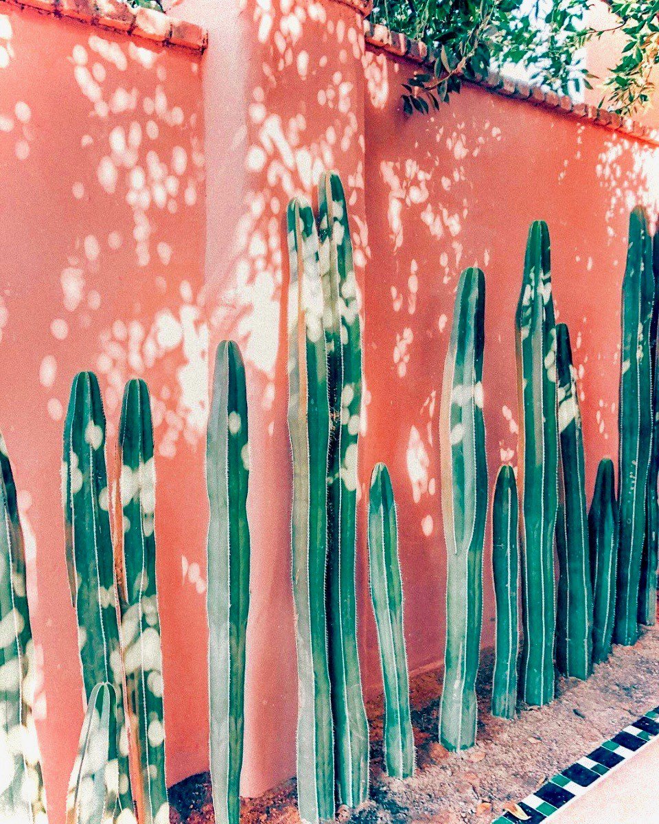 onoxa's tweet photo. Continuing the love for this color palette and Pantones color of the year! #livingcoral #patone
@erikacarlock
#b2b #beauty #skincare #privatelabel #design #customize #vegan #crueltyfree #beyourownboss #newbusiness #shoplocal #entrepreneur #selfmade https://t.co/70eHaSlYKC