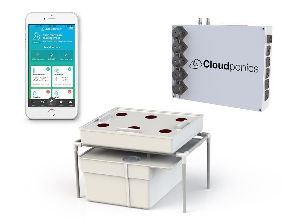 cloudponics's tweet image. Fully AUTOMATE your grow room or grow tent. Link in Bio
•
•
•
#Cloudponics #LedGrown #GrowYourOwn #GrowWeed #LegalCannabis #HydroponicsSystem #cannabisgrow #cannabisoil #ganjafarmer #marijuanagrowers #marijuana #thc #cbd #dispensarylife #medicinalmarijuana #medicinalcannabis